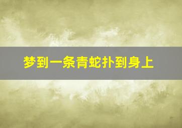 梦到一条青蛇扑到身上