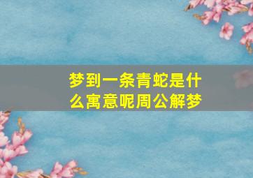 梦到一条青蛇是什么寓意呢周公解梦