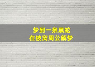 梦到一条黑蛇在被窝周公解梦