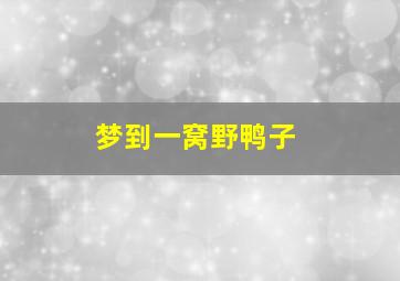 梦到一窝野鸭子