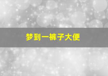 梦到一裤子大便