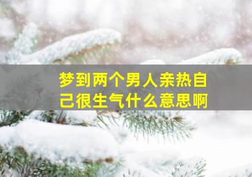 梦到两个男人亲热自己很生气什么意思啊