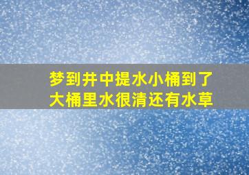 梦到井中提水小桶到了大桶里水很清还有水草