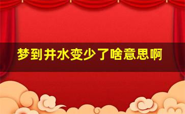 梦到井水变少了啥意思啊