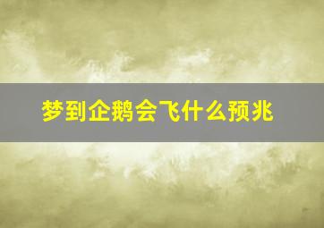 梦到企鹅会飞什么预兆