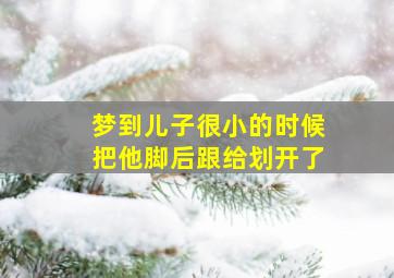 梦到儿子很小的时候把他脚后跟给划开了