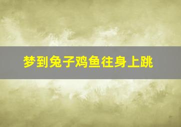 梦到兔子鸡鱼往身上跳