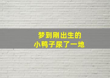 梦到刚出生的小鸭子尿了一地