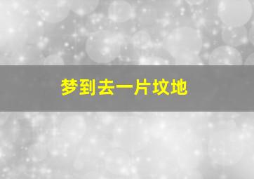 梦到去一片坟地