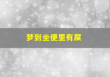 梦到坐便里有屎