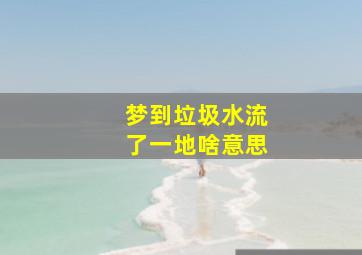 梦到垃圾水流了一地啥意思