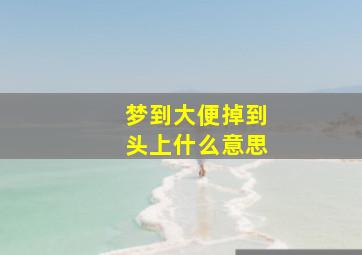 梦到大便掉到头上什么意思