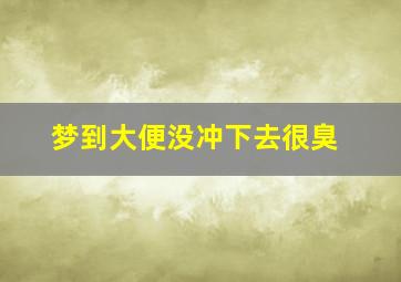 梦到大便没冲下去很臭