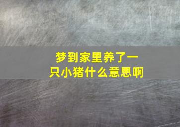 梦到家里养了一只小猪什么意思啊