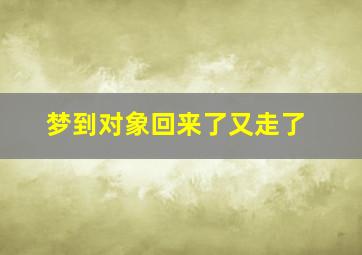 梦到对象回来了又走了