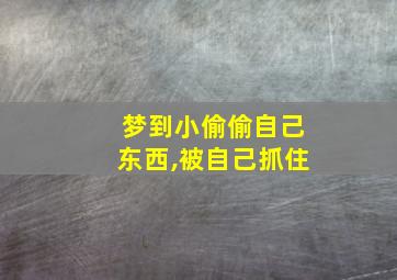 梦到小偷偷自己东西,被自己抓住