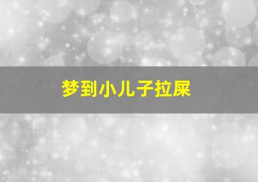 梦到小儿子拉屎