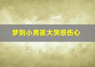 梦到小男孩大哭很伤心