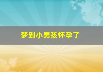 梦到小男孩怀孕了