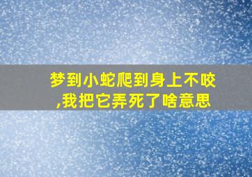 梦到小蛇爬到身上不咬,我把它弄死了啥意思