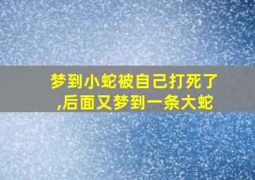 梦到小蛇被自己打死了,后面又梦到一条大蛇