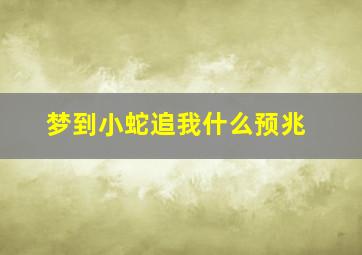 梦到小蛇追我什么预兆