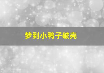 梦到小鸭子破壳