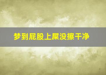 梦到屁股上屎没擦干净