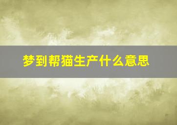 梦到帮猫生产什么意思