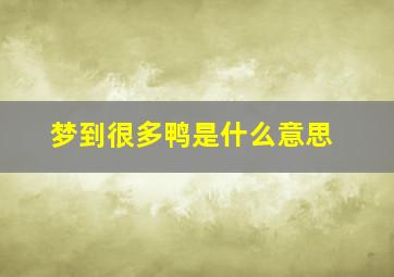 梦到很多鸭是什么意思