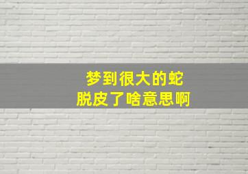 梦到很大的蛇脱皮了啥意思啊