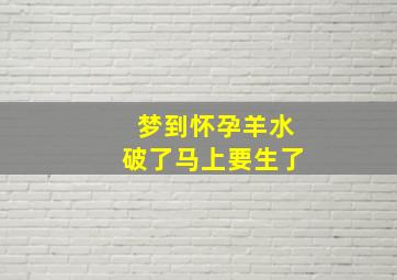 梦到怀孕羊水破了马上要生了