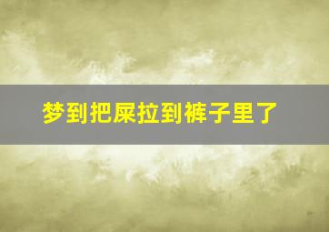 梦到把屎拉到裤子里了