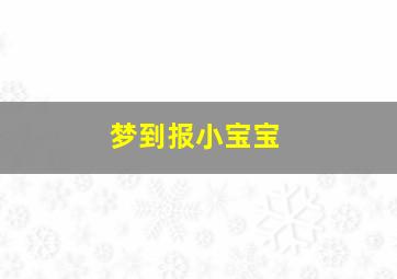 梦到报小宝宝