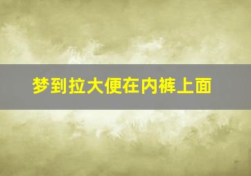 梦到拉大便在内裤上面