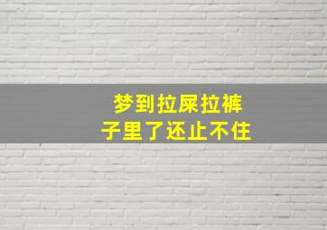 梦到拉屎拉裤子里了还止不住