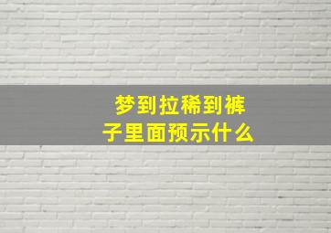 梦到拉稀到裤子里面预示什么