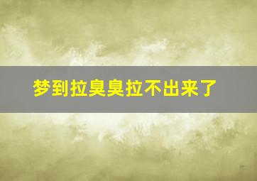 梦到拉臭臭拉不出来了