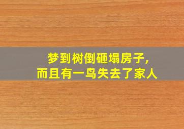 梦到树倒砸塌房子,而且有一鸟失去了家人