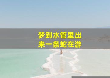 梦到水管里出来一条蛇在游