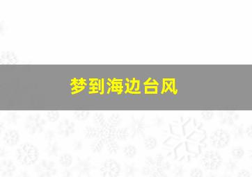 梦到海边台风