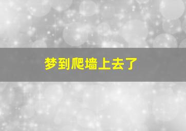 梦到爬墙上去了