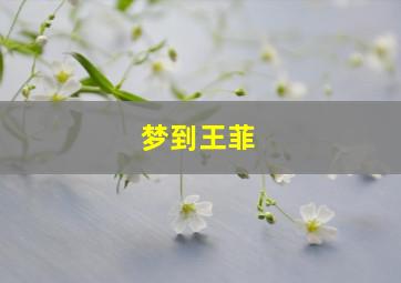 梦到王菲