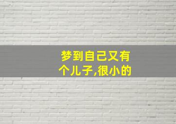 梦到自己又有个儿子,很小的