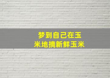 梦到自己在玉米地摘新鲜玉米