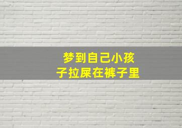 梦到自己小孩子拉屎在裤子里