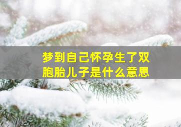 梦到自己怀孕生了双胞胎儿子是什么意思