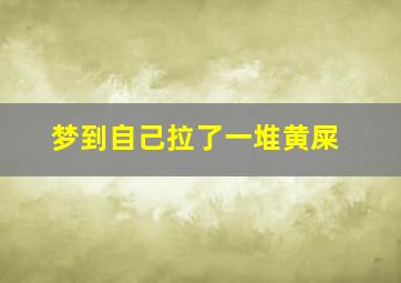 梦到自己拉了一堆黄屎