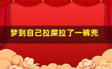 梦到自己拉屎拉了一裤兜