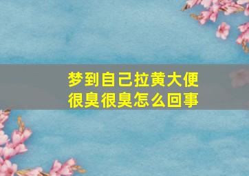 梦到自己拉黄大便很臭很臭怎么回事